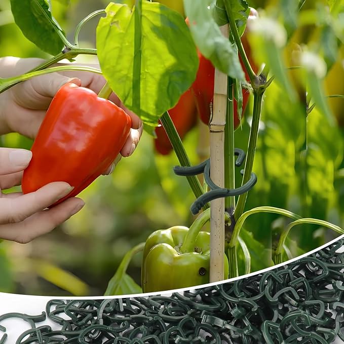 Hysagtek Plant Clips 200 Pcs Garden Clips Plant Support Clips for Climbing Plants Vine Fixing Clips for Plants Stem Support Tomatoes Cucumbers Flowers (L+M+S)
