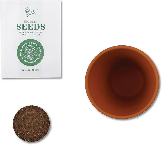 BUZZY Seeds Daisy Daydream Collection Grow Kit 6-Pack - Mini Terracotta Pot Grow Set - 100% Grow Guarantee