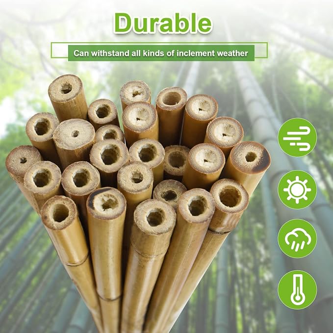 Jollybower 10pcs 1" D Thicker Heavy Duty Bamboo Stakes, 8FT Plant Stakes, Natural Garden Stakes for Tomato, Bean, Flowers,Trees Potted and Climbing Plant Support