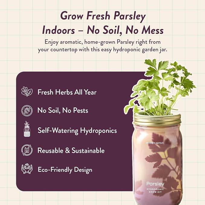 Modern Sprout Mason Garden Jar - Self-Watering Hydroponics Growing System Kit with Organic Herb Seeds - Jar Planter for Indoor Herb Garden - Seed Starter Kit - Gift for Mother's Day - Parsley