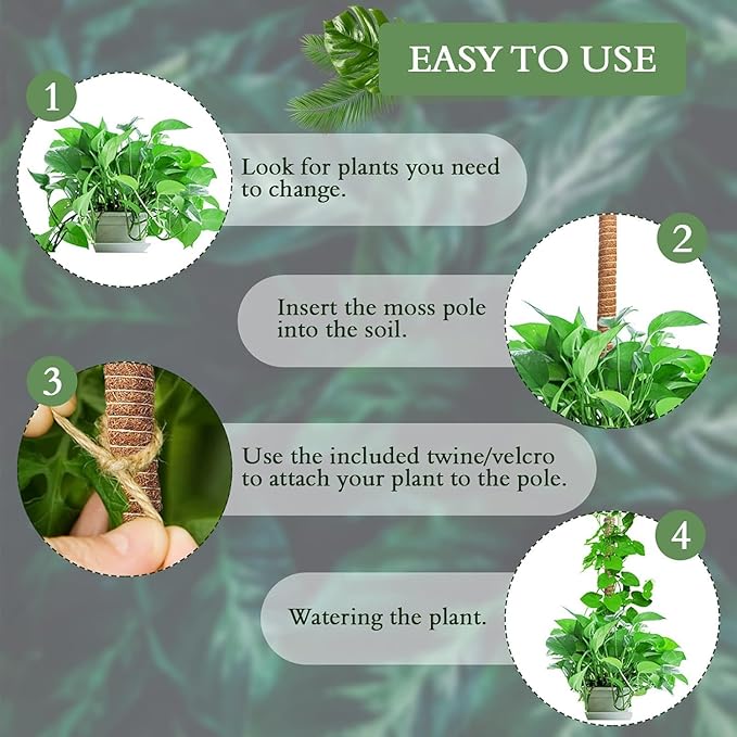 2 Pack 24 Inch Coco Coir Moss Poles for Climbing Indoor Plants - Handmade Plant Support for Creepers to Grow Upwards