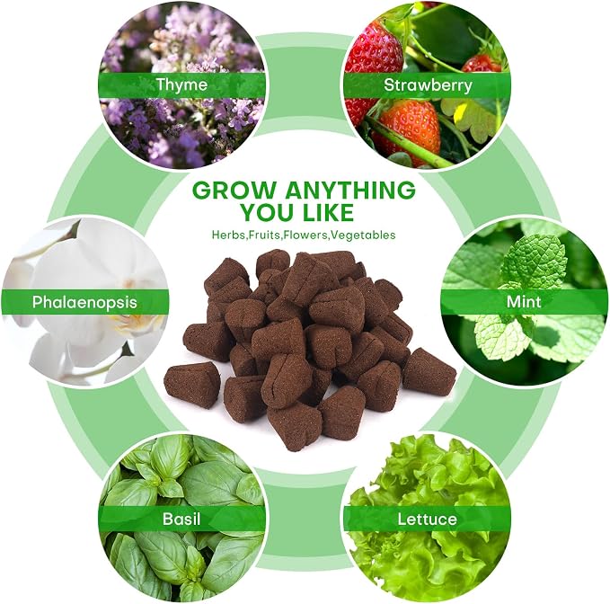40 Pcs Grow Sponges with Tray, Plant Starter Plugs for Cuttings, Great for Soil, Tray or Planting Pods Plant Rooter, Promotes Herbs, Vegetables and Flowers Growth