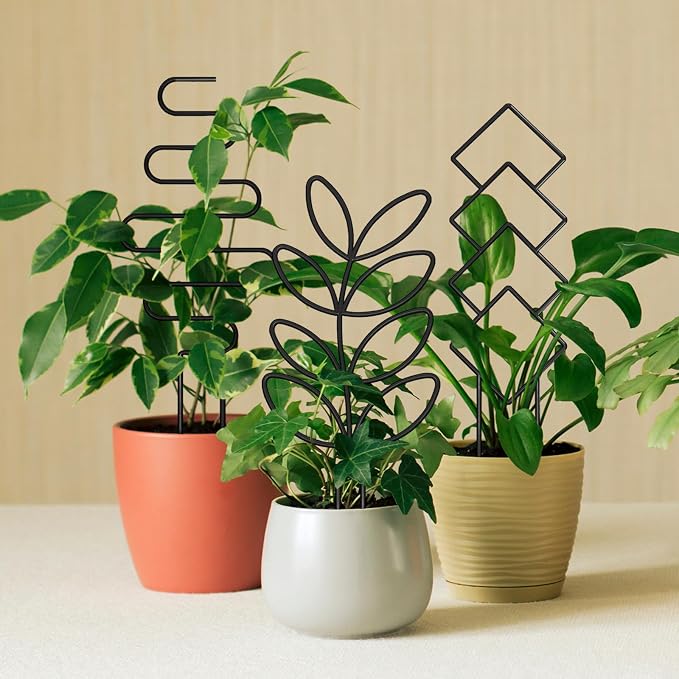Plant Trellis for Climbing Plants Indoor, Small 14.6in Metal Trellis for Potted Plants, Mini Houseplant Hoya Pothos Trellis with Ties, Set of 4p Different Shap, Black