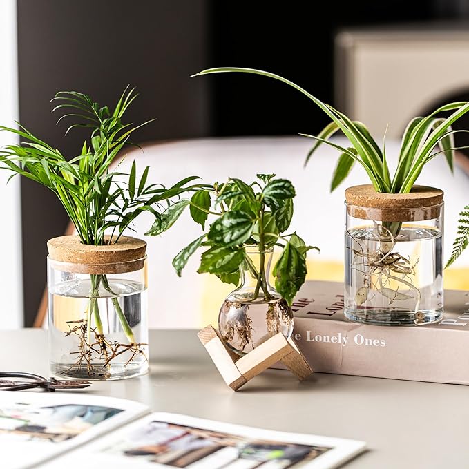 Plant Propagation Station, 2 Style Glass Planter Terrarium Set for Hydroponic Plants | Home Office Tabletop Decor, Gardening Gifts for Women, Mom, Plant Lovers (4)