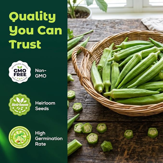 Clemson Spineless Okra Seeds for Planting, 120 Heirloom Seeds — Heat-Tolerant & High-Yielding, Fast Growing Vegetable Seeds for Outdoor Gardens
