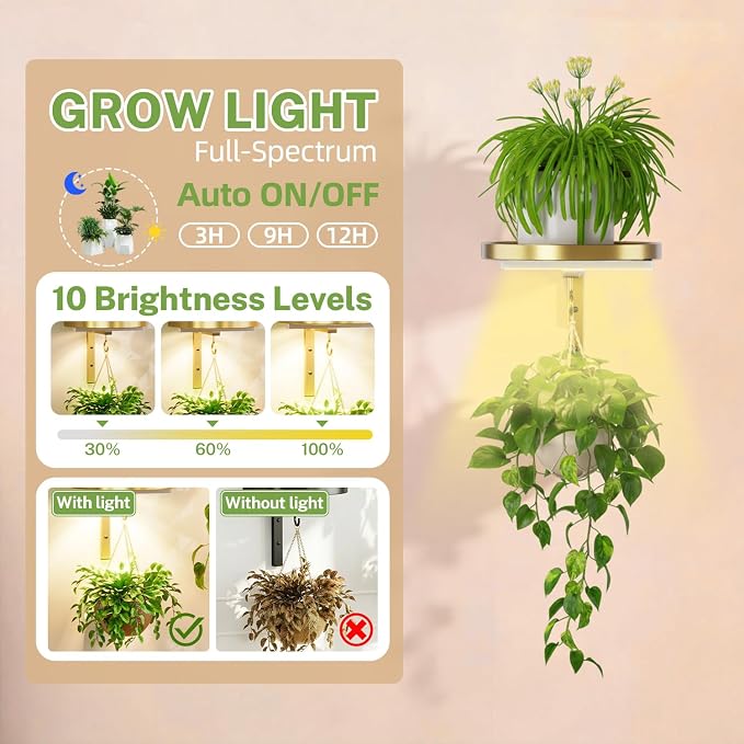 iDavosic.ly Wall Plant Holder with Grow Lights Set of 2 for Indoor Outdoor, Metal Hanger with 2 Hooks, Floating Flower Display Stand for Window, Space Saving & Easy to Assemble (Pots Not Included), Gold