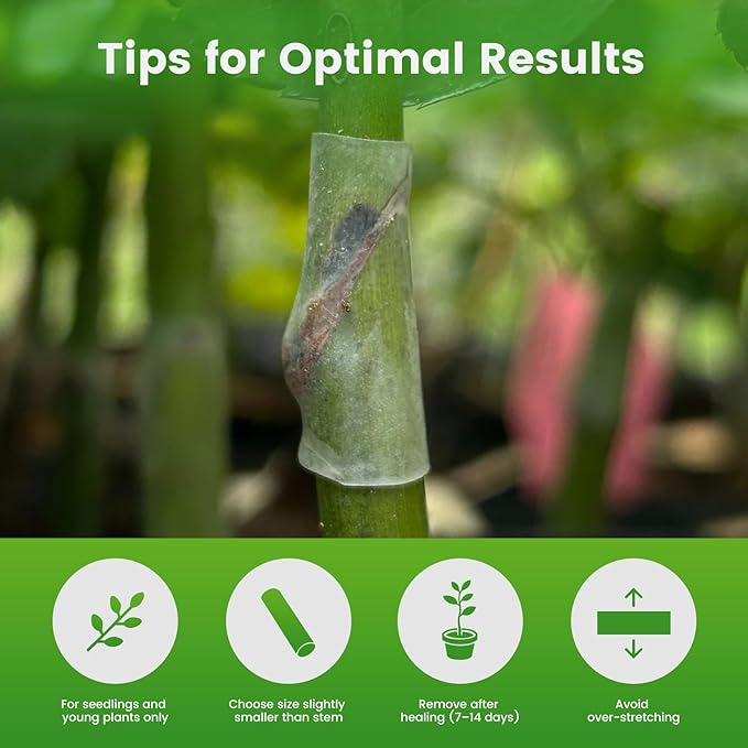 Silicone Grafting Sleeves, 3–7.5mm Flexible Grafting Tubes, High Elastic Plant Grafting Clips for Vegetables Flowers and Fruit Tree (50pcs)