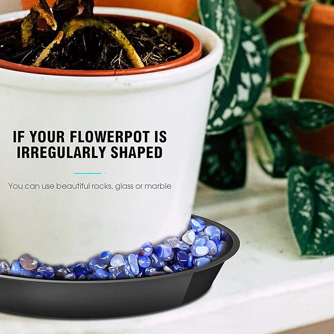 6 Pack Plant Saucer 8 10 12 Inch Plastic Plant Tray, Sturdy and Durable Flower Pot Container Accessories Plant Pot Saucers for Indoor and Outdoor (8 10 12 Inch, Black)