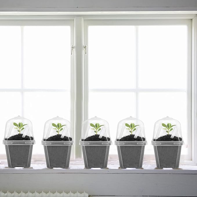 EBaokuup 10Pcs 4" Clear Plant Nursery Pots with Humidity Dome, Plastic Gardening Pot Plant Container, Seed Starting Pot with Drain Holes for Seedlings Vegetables Succulents Cuttings