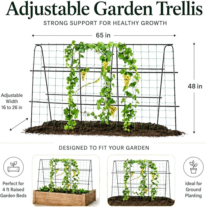 FOLLOOK Cucumber Trellis for Raised Garden Bed, Rustproof Metal Garden Arch Trellis for Climbing Plants Support Outdoor Fruit Grape Vine Vegetable Tomato Bean Pea Trellis, 63x48inch, Black