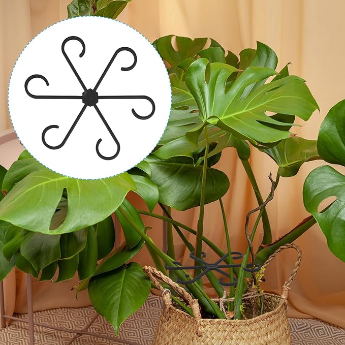 XIHIRCD 4pcs Plant Stem Support, Climbing Houseplant Leaf Support Ring Plant Climbers Stem Holders Plants Climbing Rack Plant Flower Gardening Growth Cultivation Accessories Tools(Black)