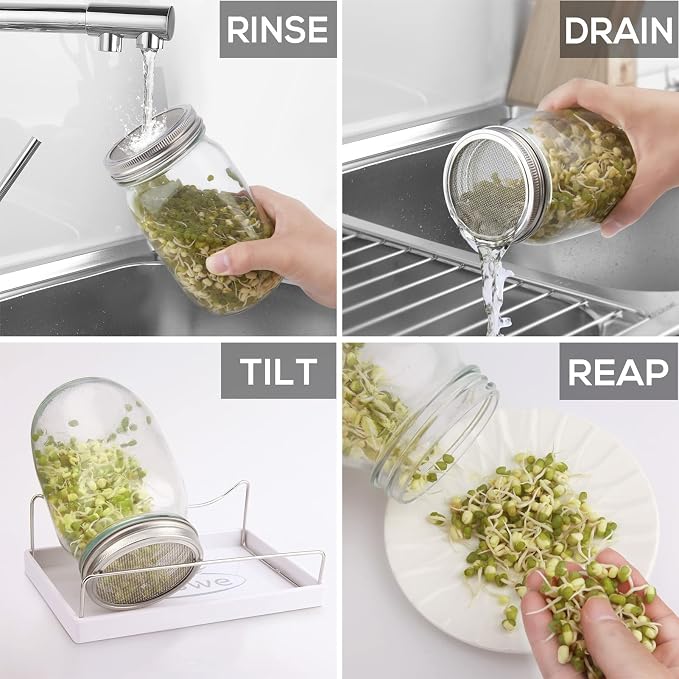 Sprouting Jar Kit-2 Wide Mouth Quart Mason Jars with 316 Stainless Steel Screen Sprout Lids, Drip Tray, Stand | Seed Sprouter Set for Growing Broccoli, Alfalfa, Mung Bean