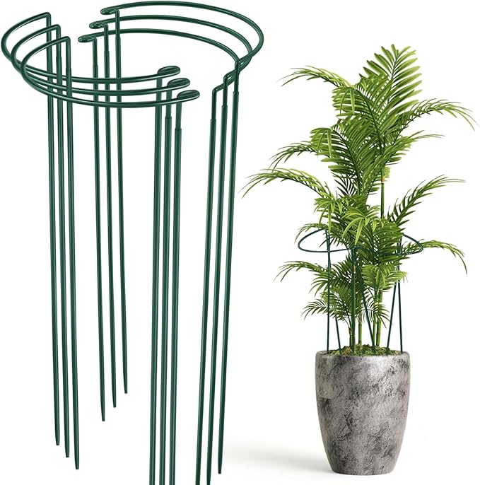 Tioncy 6 Pcs 42″ H x 15.8″ W Plant Support Stakes Cages for Garden, Metal Half Round Plants Tension Rods for Indoor Outdoor Large Tall Flower Vegetables Tomato Peony Rose Support