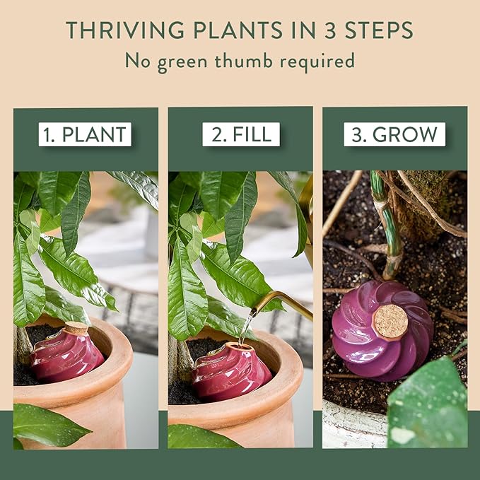 Modern Sprout Terracotta Self-Watering Bulbs for Indoor Plants,10oz Watering Globes 3 Pack, Glazed Finish with Cork Top - Plum, Sage & Mustard, Decorative Plant Accessories, Father's Day Gift for Dad