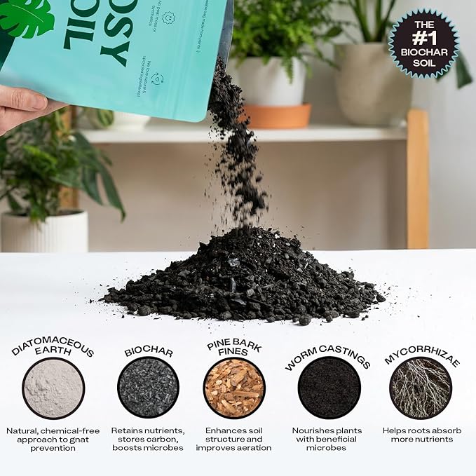 Rosy Soil Houseplant Potting Soil - 2 x 8 qrt, Organic Indoor Potting Mix with Biochar and Worm Castings for Monstera, Pothos, Tropical Indoor Plants - Peat Free - 8qt, Pack of 2