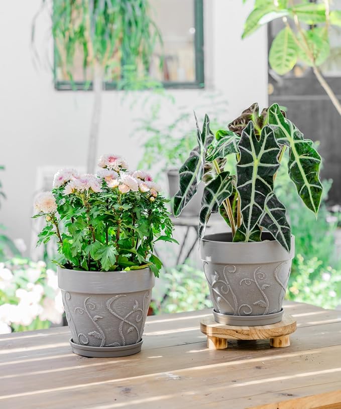 Melphoe Plant Pots Indoor with Drainage & Saucer, 2Pack 8 inch Flower Pots Outdoor Planters for Indoor Plants Garden Home Decor Cactus Succulent, Rigid Plastic (Imitation-Terracotta) Vine-Embossed