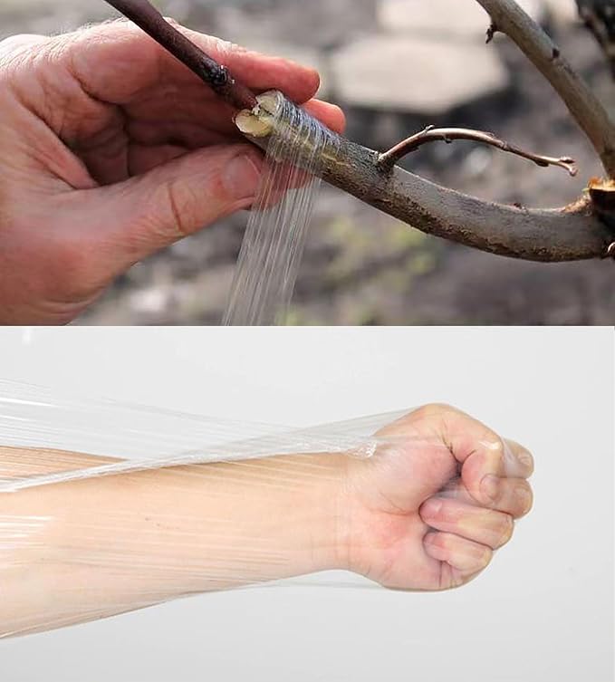 1.2inch Grafting Tape Clear 2 Rolls for Floral Fruit Trees Stretchable Garden Grafting Tape Plants Repair Tapes Poly Budding Tape Seedling Graft (Clear-2pack)