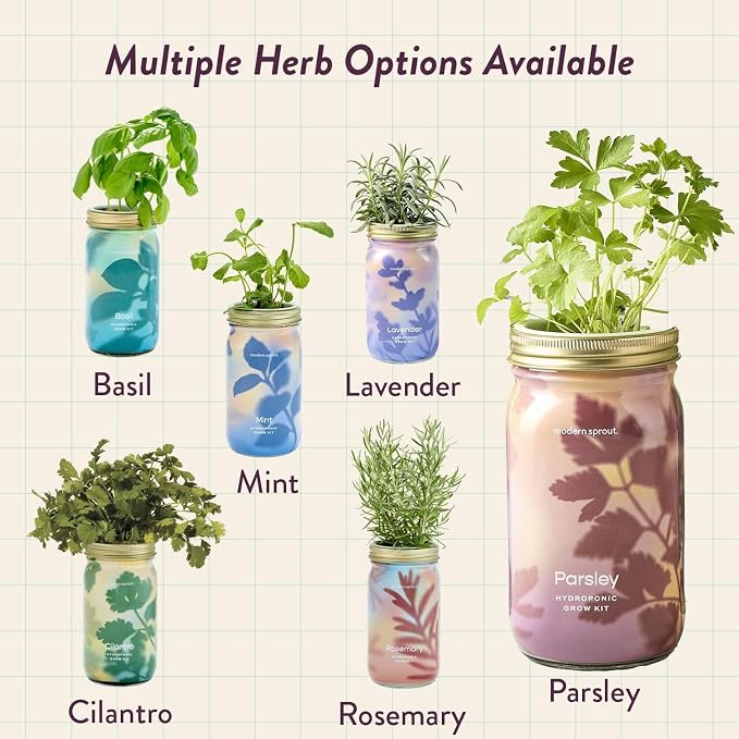 Modern Sprout Mason Garden Jar - Self-Watering Hydroponics Growing System Kit with Organic Herb Seeds - Jar Planter for Indoor Herb Garden - Seed Starter Kit - Gift for Mother's Day - Parsley
