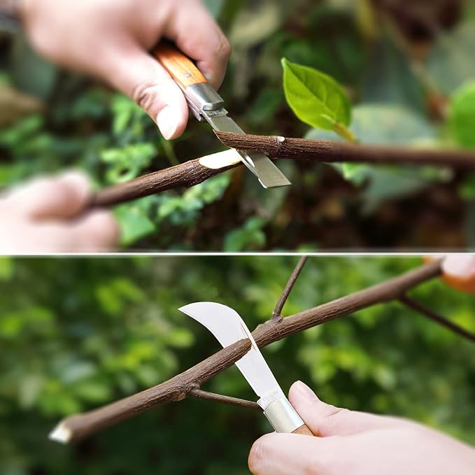 NAYE Garden Grafting Knife with Grafting Tapes and Plant Labels,Stailess Steel Striaght/Curved Blades for Pruning Fruit Tree Grafting Budding Tree Repair