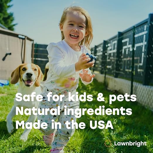 Aeroflow by Lawnbright - Liquid Lawn Aerator - Loosen Soil & Clay Without Equipment - Kids & Pet Safe - Sprayer Included (32 fl. oz)