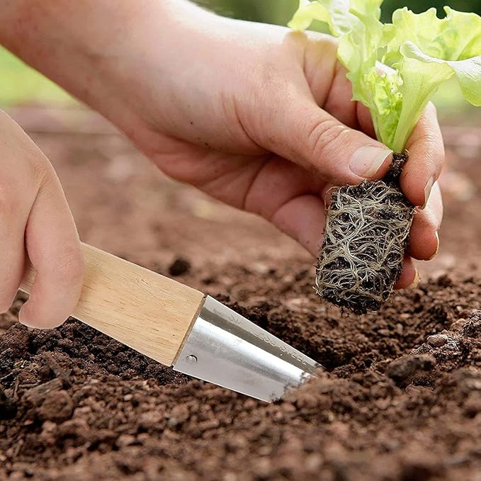 KAYTOW Garden Dibber as Soil Breaker Tool Hole Digger, Plant Bulb and Soil Digger as Garden Tool for Seed Tranplate, Depth-Stamp Stainless Steel with Polished Wood Handle for Planting Seeds Bulbs.