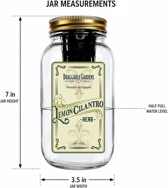 Lemon Cilantro Indoor Herb Garden Kit – Mason Jar Hydroponic Grow Kit – Windowsill Countertop Herb Planter – Grow Fresh Cilantro Indoors