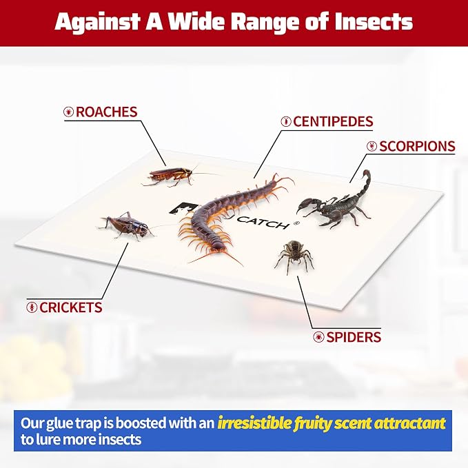 LULUCATCH Cricket Insect Glue Traps - 36 Pack Bug Cockroach Sticky Traps, Large Spider Trap with Pre-Baited Attractant, Highly Effective Glue Boards Indoor, Non-Toxic Pet Safe, Easy to Use