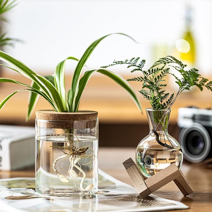 Plant Propagation Station, 2 Style Glass Planter Terrarium Set for Hydroponic Plants | Home Office Tabletop Decor, Gardening Gifts for Women, Mom, Plant Lovers (8)