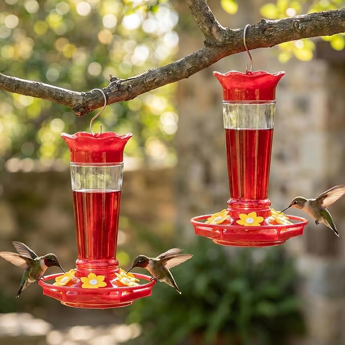 Gbekery Glass Hummingbird Feeders for Outdoors Hanging Ant and Bee Proof Clear 10 OZ 2 Pack Bird Feeders for Outside Hanging 6 Feeding Stations Bird Nectar Feeder for Garden Yard Décor Gifts for Mom