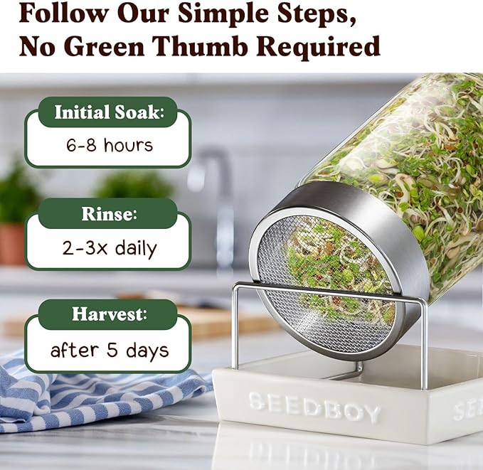 Seedboy Organic Non-GMO Sprouting Seeds, Fresh Salad Blend - USA Grown Microgreens Mix with Alfalfa, Broccoli, Radish, Mung Bean & Lentil - 8 oz Bag Makes 8 Quarts / 32 Servings (Salad Blend)