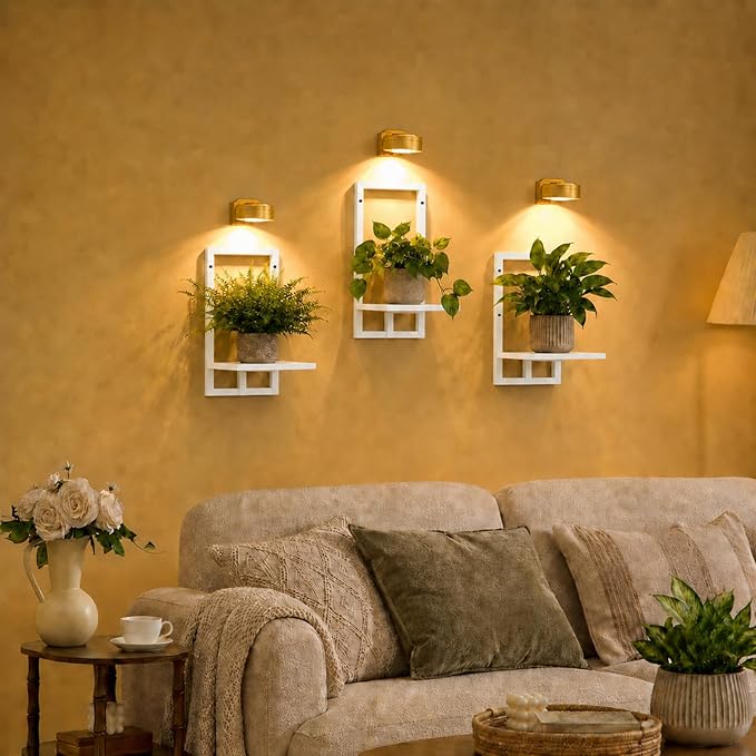 Wall Plant Holder with Grow Lights Set of 2 for Indoor Outdoor, Floating Flower Display Stand for Living Room, Bedroom, Bathroom, Kitchen, Entryway, White (3, White)