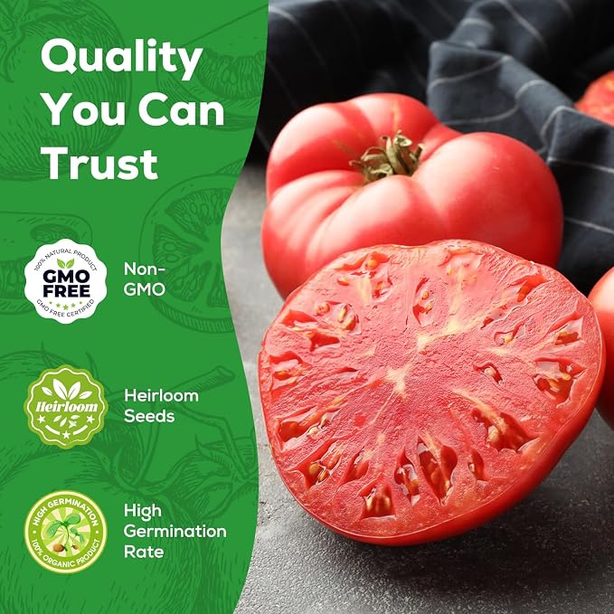 Beefsteak Tomato Seeds for Planting - Non-GMO, Heirloom - 200 Indeterminate Tomato Seeds, Vegetable Seed Packet with Instructions for Planting Home Garden Indoor & Outdoor