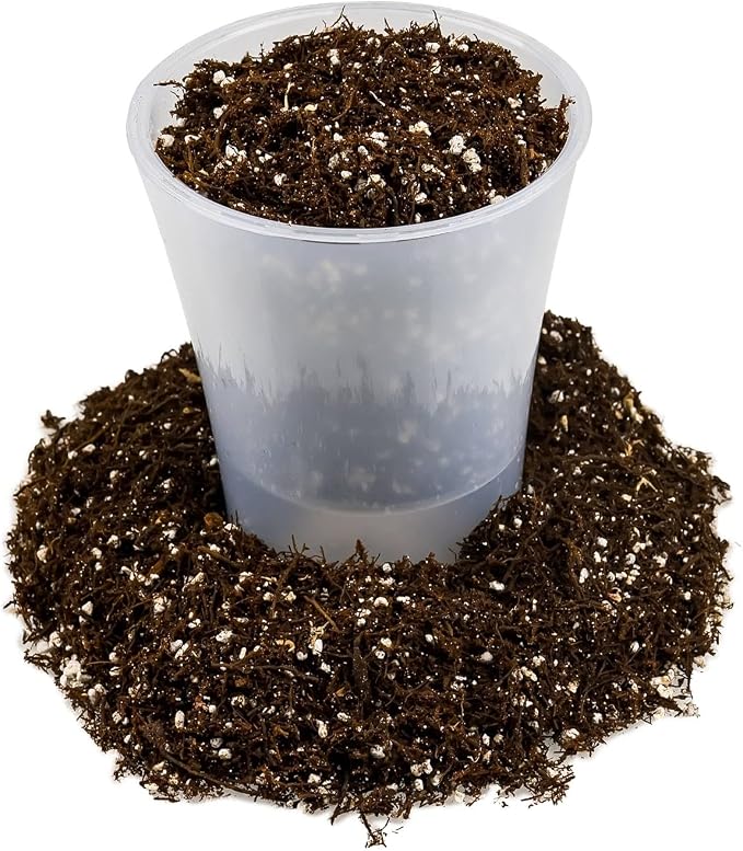 Gardenera Fern + Perlite Soil Mix for Repotting and Planting Succulents and Cactuses - 3 Quart Bag