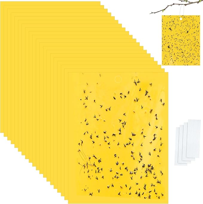 Qualirey 20 Pcs 6x8 Inch Yellow Sticky Traps for Gnats, Dual-Sided Sticky Gnat Traps for Indoor Outdoor Plants, Pest Control for Fungus Gnats, Fruit Flies, Whiteflies with Twist Ties