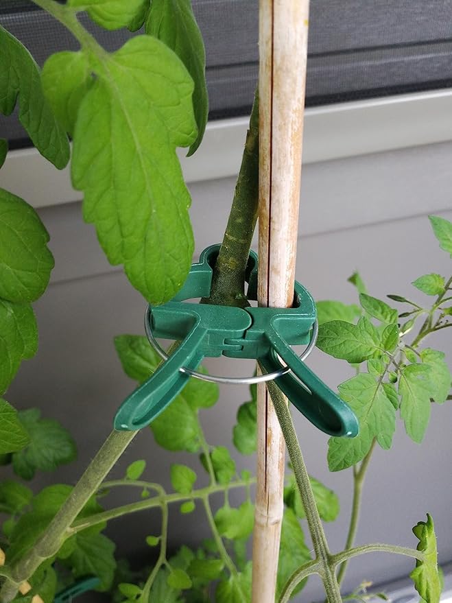 Plant Clips Garden Clips for Supporting Plants, Flowers and Vines, Gentle Durable Plant Support Clips Set (48 Small)
