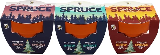 BUZZY Seeds Spruce Tree Grow Kit 12-Pack - Mini Terracotta Pot Grow Set - Complete Indoor/Outdoor Gardening Kit with Seeds, Coconut Husk Growing Medium & Genuine Pots - 100% Grow Guarantee