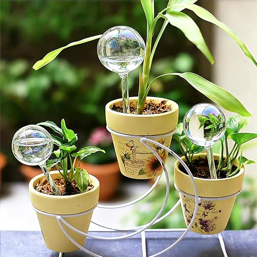 Self Watering Globes for Plants - Large 6pcs Glass Rainbow Self Watering Bulb Up to 5 Days of Irrigation, Self Watering Planter Insert for Indoor Outdoor Plant, Automatic Watering Device for Daily Use