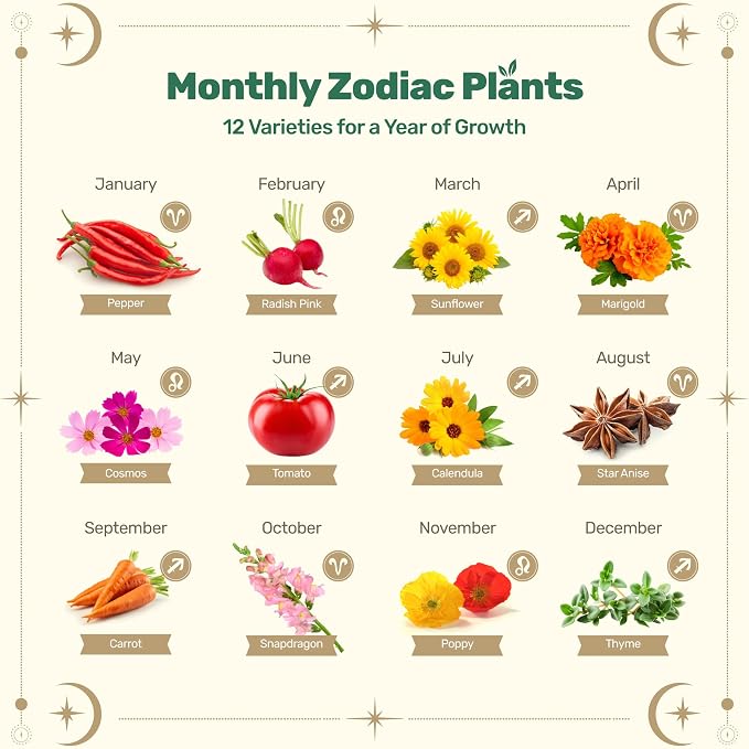 Lush&Dew Gardening Gifts for Women Men, Zodiac Garden Seed Bank, 12 Varieties Non-GMO Heirloom Vegetables Flower Seeds, Hand Craft Storage Box with Moon Calendar for Fire Signs, USDA Zone 3-11