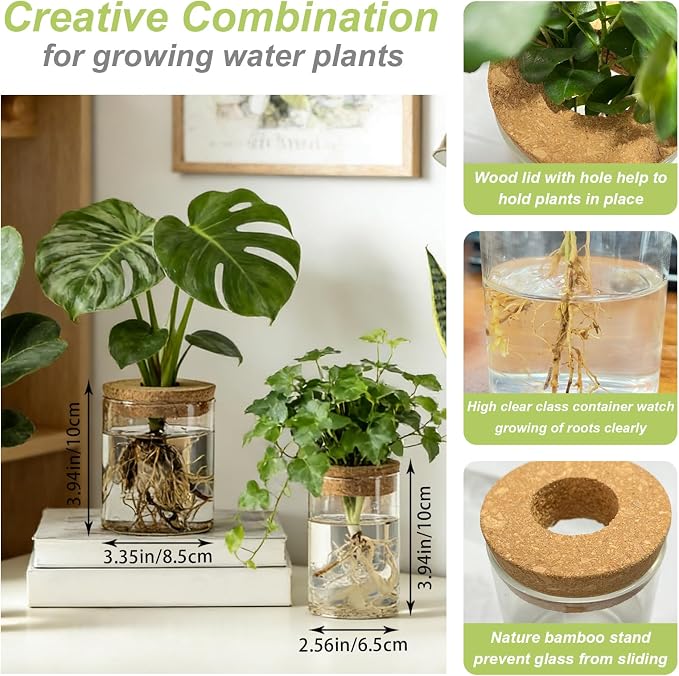 Glass Propagation Stations for Plants, Propagation Flower Vases Set, Hydroponic Glass Container Vase, 2 Large & 2 Small for Desks Houses Garden Decorations Home Kitchen Decorations and Gifts