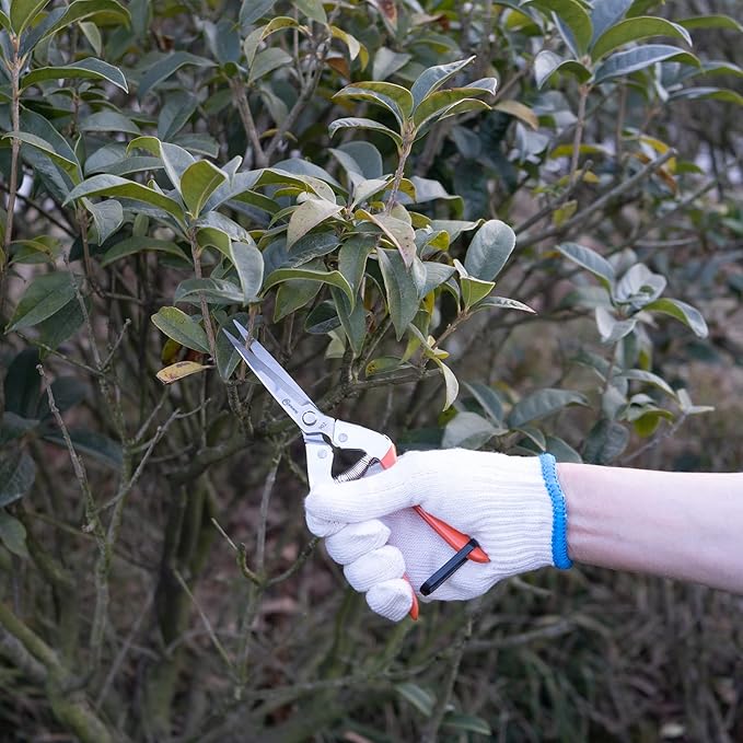 Sanung 902 Pruning Shears for Gardening, Hand Pruner Scissors with Straight Stainless Steel Blades Safety Lock Cutting Clipper for Tree Branches Plants Garden Trimmer Tool for Home Garden Yard