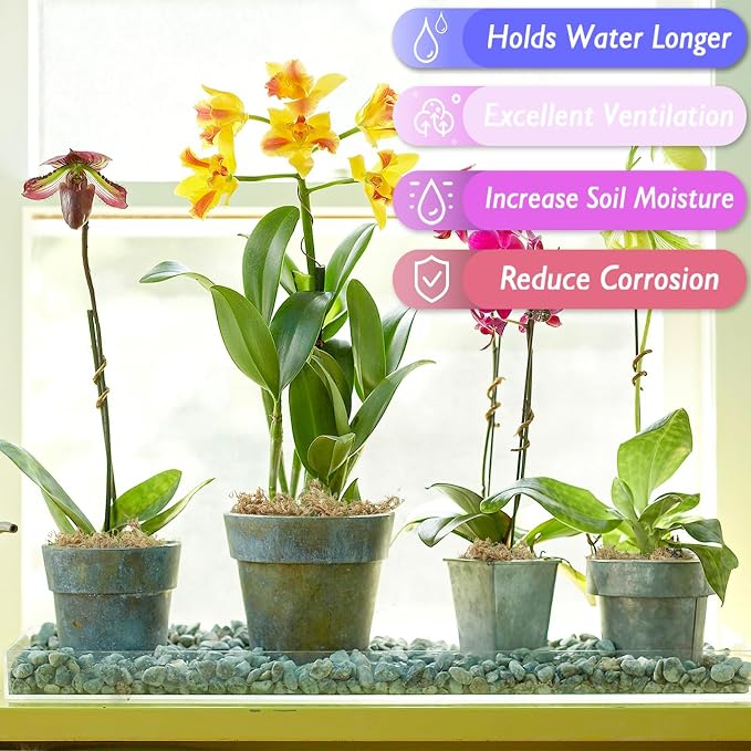 Halatool 3.6OZ Premium Sphagnum Moss for Indoor Plants, 4 QT Orchid Moss Potting Mix - Natural Sphagnum Moss for Succulents, Carnivorous(Sarracenia), Monstera, Terrarium Substrate & Reptile Habitats