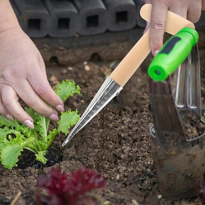 Stainless Steel Dibber Planter Tool for Planting Seeds & Bulbs - Comfortable Wood Carved Handle - for Consistent Planting Flowers Tulips, Daffodils, Dahlias(1 pcs)
