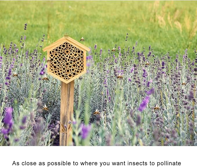 vensovo Mason Bee House - Natural Bamboo Bee Habitat Hotel for Carpenter, Pollinating, Leaf Cutter Bees