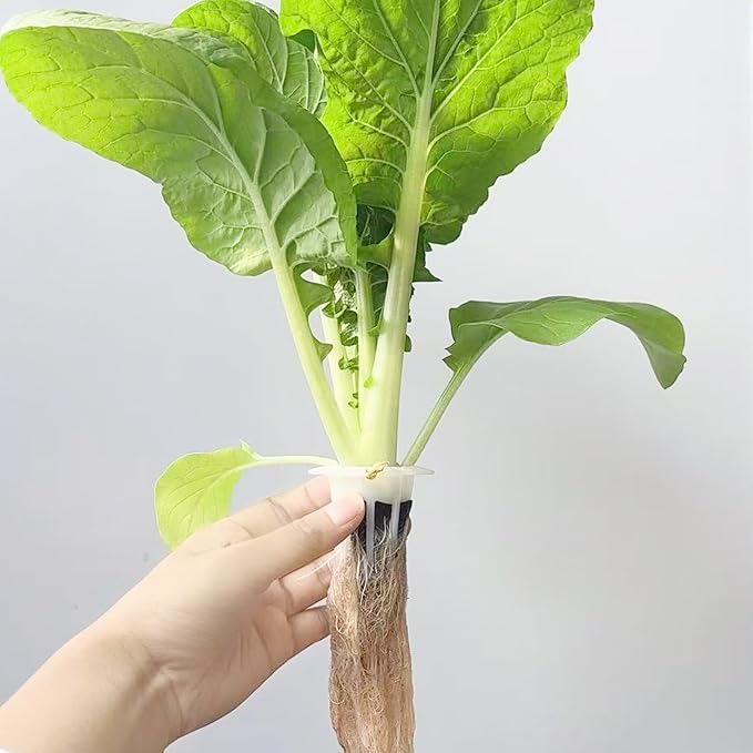 Round Hydroponics Grow Sponges 20 Pack