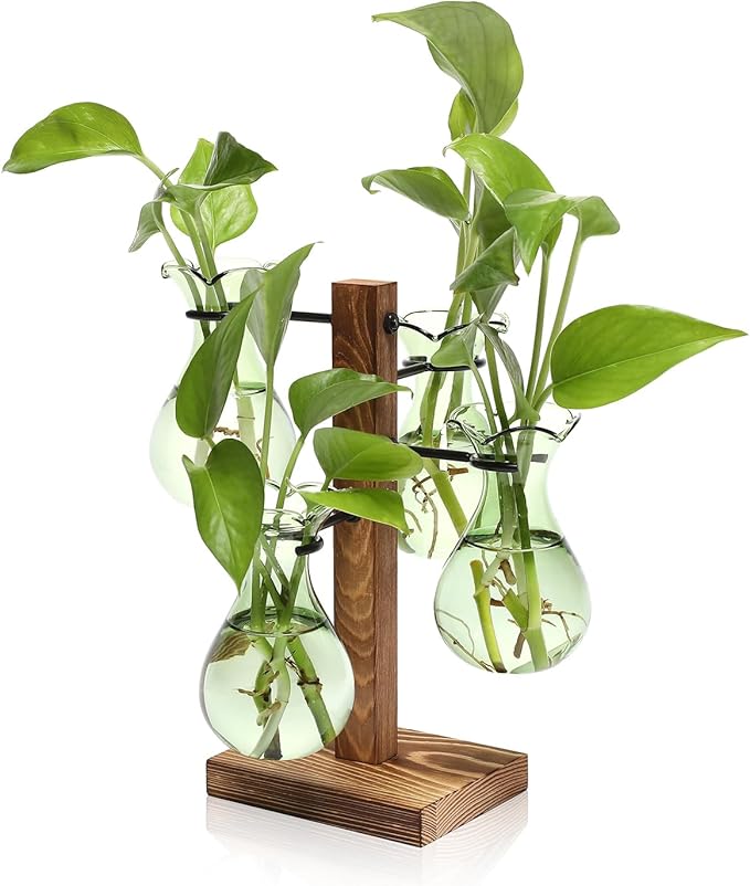 Plants Propagation Stations Bulb Glass Propagation Birthday Gift for Women Garden Plant Lovers - 4 Bulb