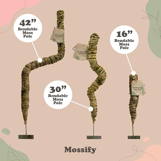 Mossify Bendable Moss Pole 30'' Monstera Plant Support for Climbing Indoor Plants - 100% Sustainably Farmed Moss Pole for Plants Indoor Growth - Flexible Handmade Sphagnum Plant Poles Support