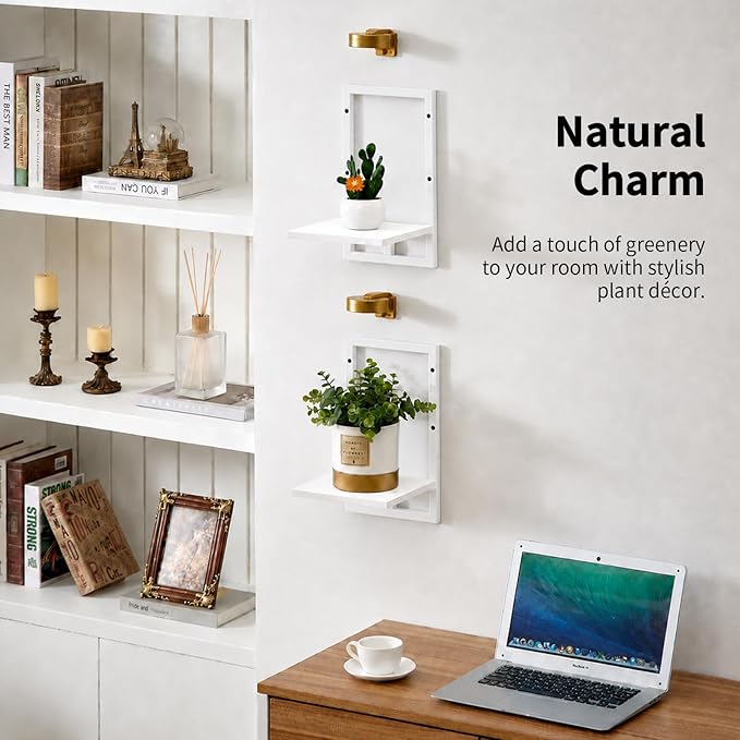 Wall Plant Holder with Grow Lights Set of 2 for Indoor Outdoor, Floating Flower Display Stand for Living Room, Bedroom, Bathroom, Kitchen, Entryway, White