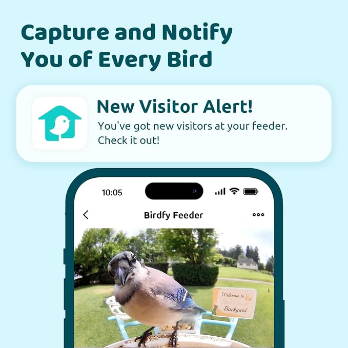 NETVUE by Birdfy Smart Bird Feeder with AI Camera, Auto Capture Videos & Live Steam, Wireless Wildbird Watching, Outdoor Backyard Birder(AI by Subscription) Yellow