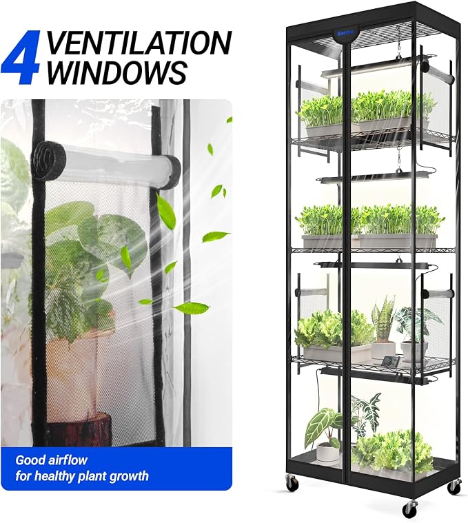 Barrina Plant Stand Tent, Clear, 24.4 x 15.0 x 70.1IN, T-Zipper, Double Sided Windows (2 on Each Side), with Bottom Tray, 1 Pack, Fits Barrina LP600 Indoor Greenhouse with Grow Light
