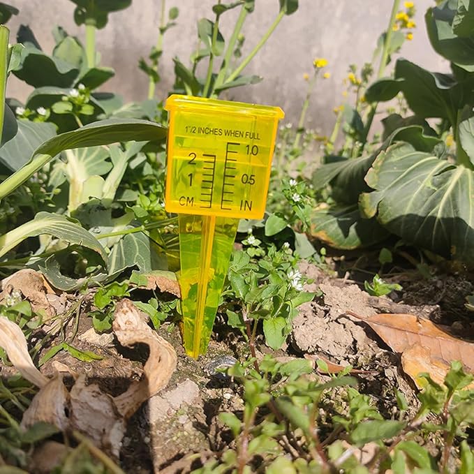 mollensiuer 4Pcs Rain Gauge Outdoor Plastic Sprinkler Gauge Transparent Outdoor Water Measuring Tool Lawn Water Gauge with Wide Mouth for Lawn and Garden Water Measuring Tool, Bright Yellow